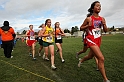 2010NCSXC GD2-2334